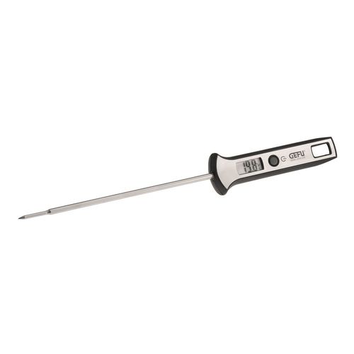 Thermomètre Numérique Scala