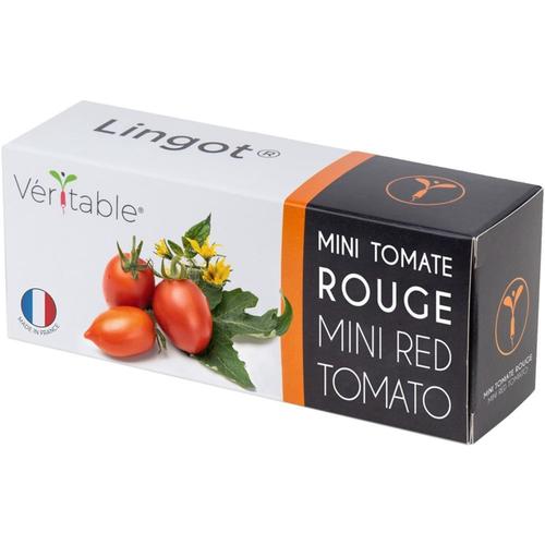 Lingot Mini Tomate Rouge Pour Potager Véritable