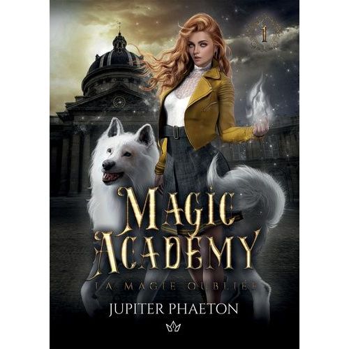 Magic Academy - Tome 1 - La Magie Oubliée