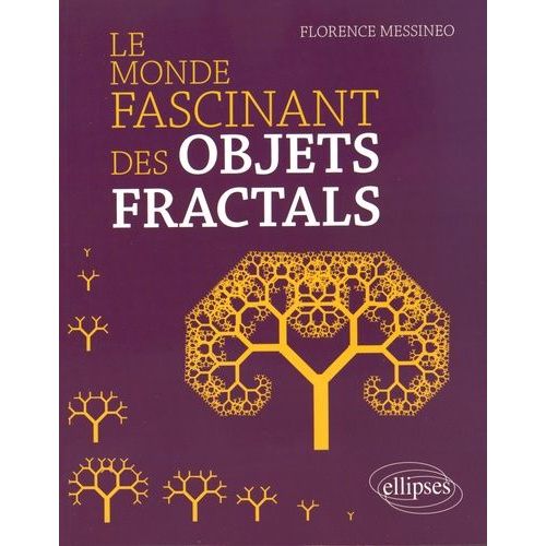 Le Monde Fascinant Des Objets Fractals