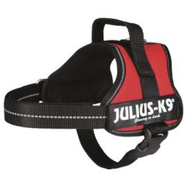 Julius K9 IDC Mini harnais pour chiens Anthracite 16IDC-ANT-M - Colliers  harnais et laisses pour chien - Achat & prix