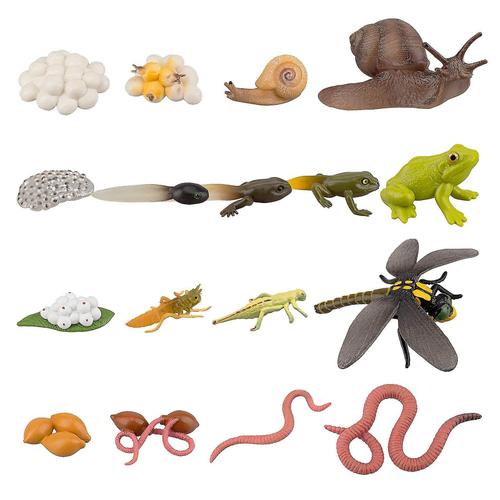 17pcs Cycle De Vie De Grenouille Escargot Ver De Terre Libellule, Oeuf Têtard À Grenouille Safariologie Figurines Amphibiens Kit Jouet