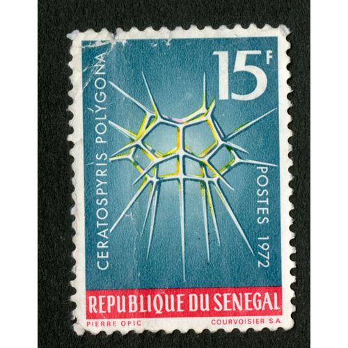 Timbre Oblitéré République Du Sénégal, Postes 1972, Ceratospyris Polygona, Pierre Opic, Courvoisier, 15 F