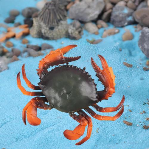 GOTOTOP crabe jouet Modèle réaliste de crabe d'animal marin simulé