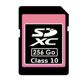 Carte mémoire MicroSD 256 Go pour Steam Deck Gaming PC SteamDeck Carte  Micro SD UHS-1 + Chiffon de nettoyage Digi Wipe