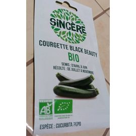 Graine Courgette Black Beauty