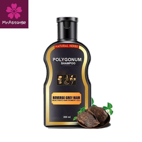 Shampoing Anti-Chute À La Cannelle, 200ml, Soin Capillaire, Barre De Gingembre, Croissance Des Cheveux, Polygonum Multiflorum 