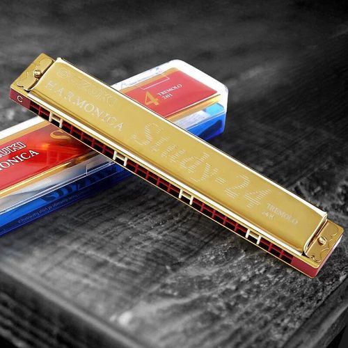 Harmonica Tremolo À 24 Trous,Avec Étui,Instrument De Musique,Synthétiseur Professionnel - Type Or