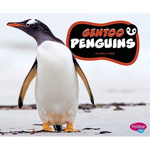 Gentoo Penguins
