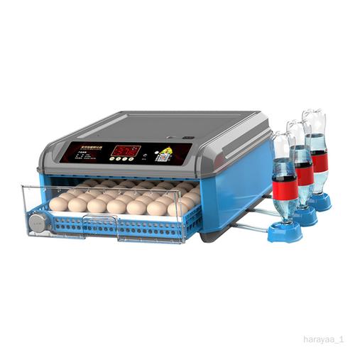 Machine à laver les œufs électrique à Double rangée, machine à laver les  œufs de poulet, canard d'oie, nettoyeur d'œufs, équipement d'élevage de  volaille - AliExpress