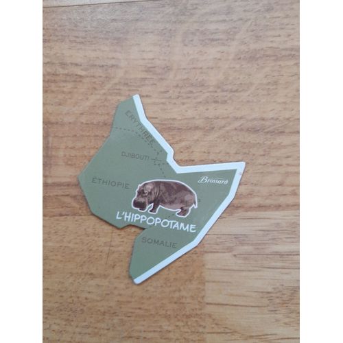 Magnet Afrique