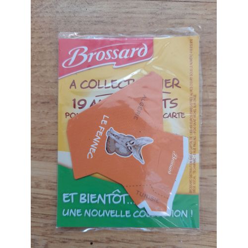 Magnet Afrique