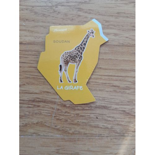 Magnet Afrique