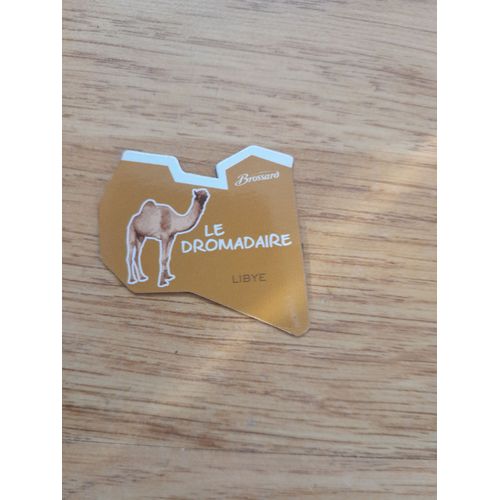 Magnet Afrique