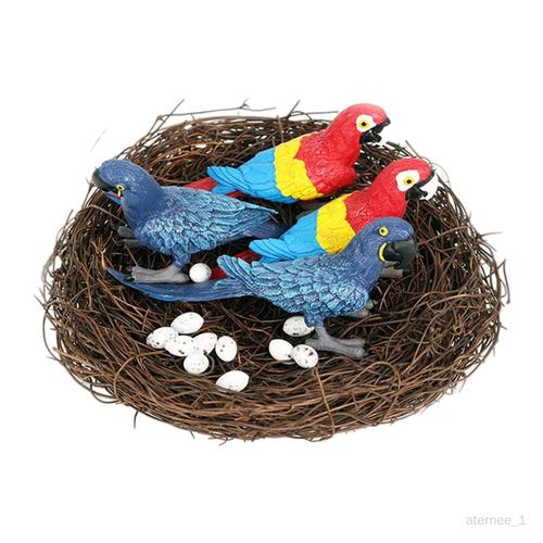 Figurine Miniature D'oeuf De Nid D'oiseau De Perroquet Pour Des Accessoires Extérieurs Home Decor F