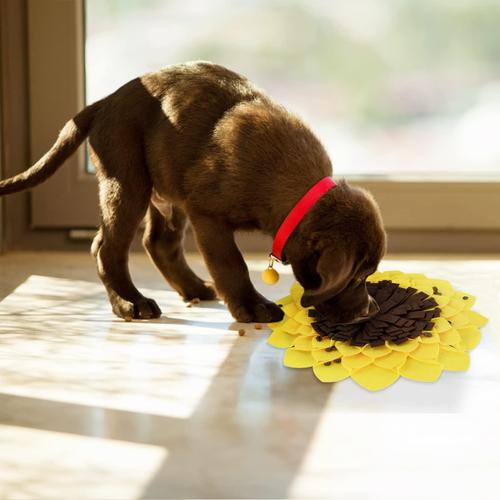 Tapis de litière pour chat tapis de snuffle mat pet fuite de nourriture  anti tapis d'étouffement chat tapis d'alimentation de chien