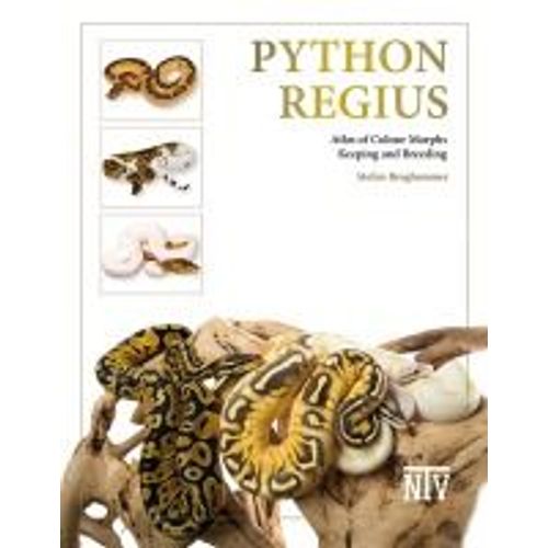 Python Regius