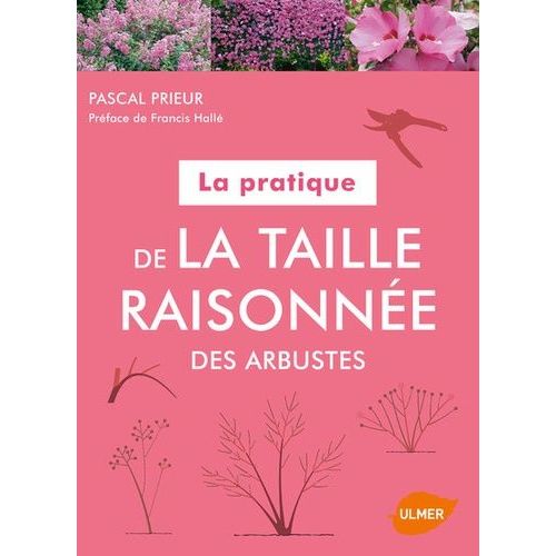 La Pratique De La Taille Raisonnée Des Arbustes