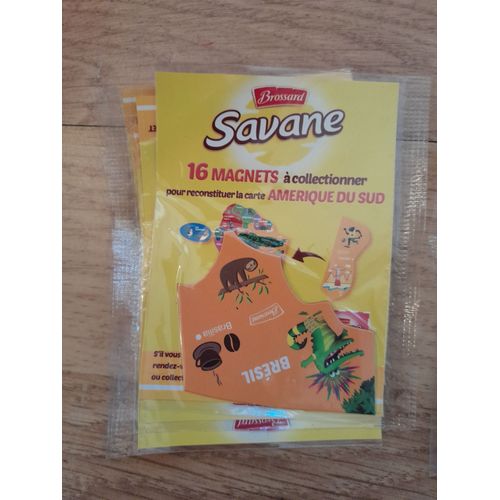 Magnet Amérique Du Sud