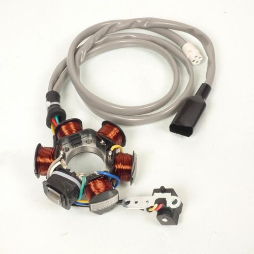 Alternateur Stator Allumage Pour Scooter Piaggio 125 Vespa Et4 1998-2005 6 Bobine