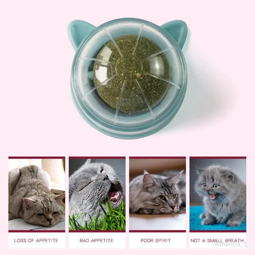 Almencla Catnip Ball Toys Jouet De Dentition Snack Pet French Windows Avec Couvercle Chew Style Je