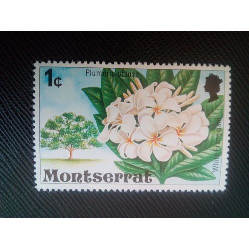 Timbre Montserrat Y T 341 Frangipanier Blanc (Plumeria Obtusa) 1976 ( 010507 )