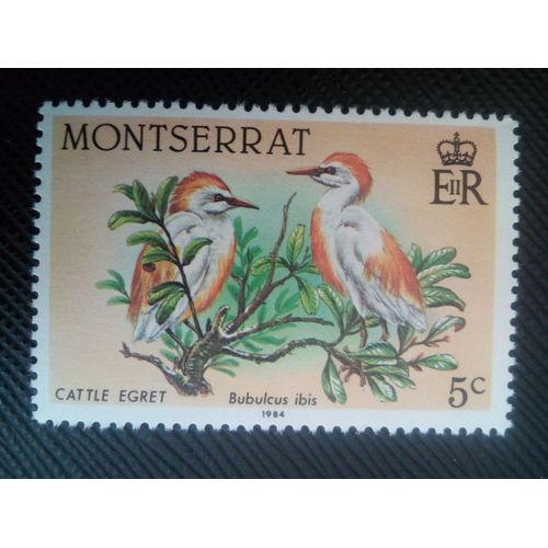 Timbre Montserrat Y T 535 Héron Garde-Boeuf (Bubulcus Ibis) 1984 ( 010507 )