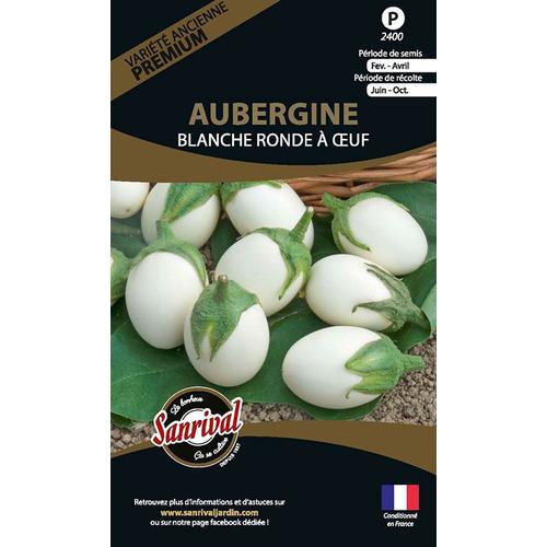 Graines Potagères Premium Aubergine Ronde À Oeuf