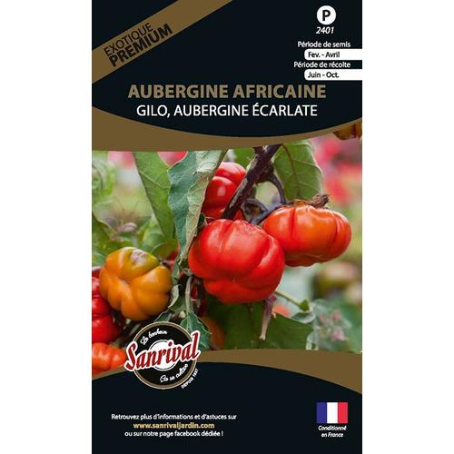 Graines Potagères Premium Aubergine Africaine