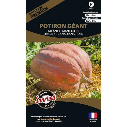 Graines Potagères Premium Potiron Géant