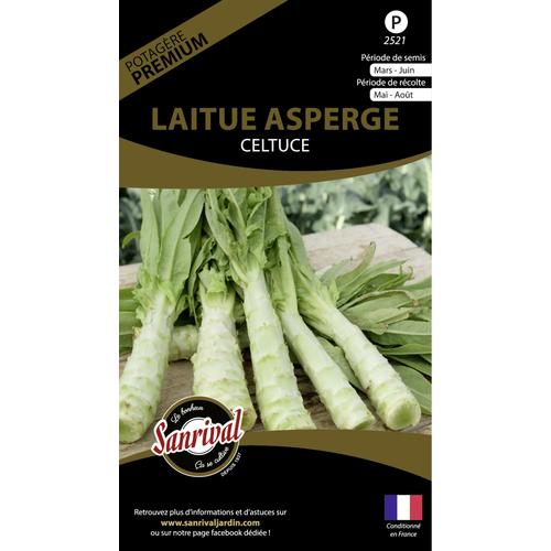 Graines Potagères Premium Laitue Asperge