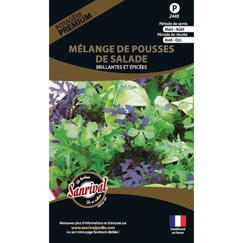 Graines Potagères Premium Mélange De Pousses De Salade Brillantes Et Épicées