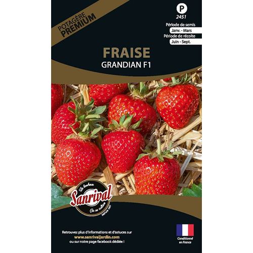 Graines Potagères Premium Fraise Grandian