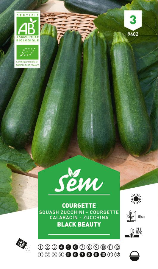 courgette blanche de Gênes BIO - Provence Outillage