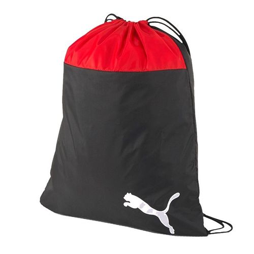 Puma TeamGoaL 23 076853-01 bag