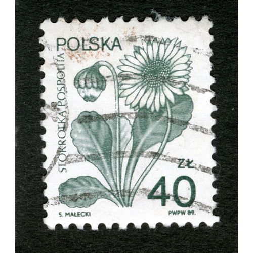 Timbre Oblitéré Polska, Stokrotka Pospolita, 40 Zl, 1989, Malecki