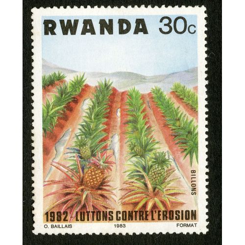 Timbre Non Oblitéré Rwanda, 30 C, 1982 Luttons Contre L'érosion, Baillais, 1983, Format