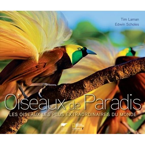Oiseaux De Paradis - Les Oiseaux Les Plus Extraordinaires Du Monde