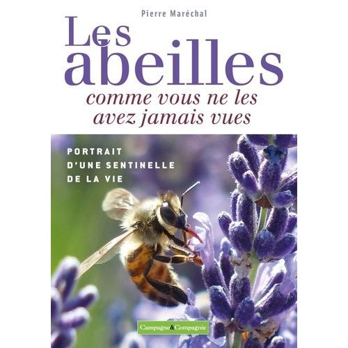 Les Abeilles Comme Vous Ne Les Avez Jamais Vues