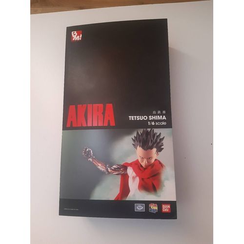 Akira Tetsuo Shima Projec Figurine