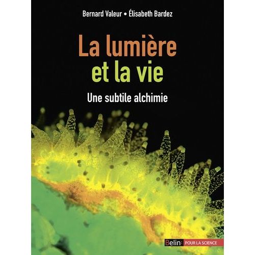 La Lumière Et La Vie - Une Subtile Alchimie