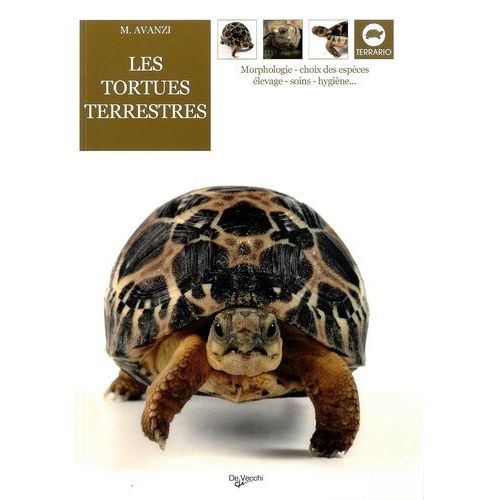 Les Tortues Terrestres
