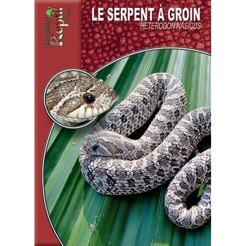 Le Serpent À Groin