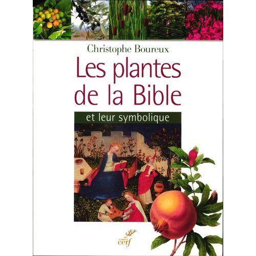 Les Plantes De La Bible Et Leur Symbolique