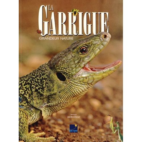 La Garrigue - Grandeur Nature