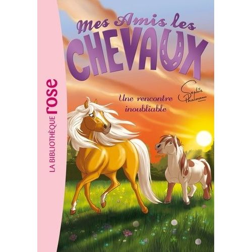 Mes Amis Les Chevaux - Tome 6 - Une Rencontre Inoubliable