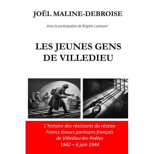 Les Jeunes Gens De Villedieu: L'histoire Des Résistants Du Réseau Francs Tireurs Partisans Français De Villedieu-Les-Poêles 1942 - 6 Juin 1944