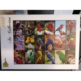 Puzzle 1000 Pièces Theme Oiseaux Colorés
