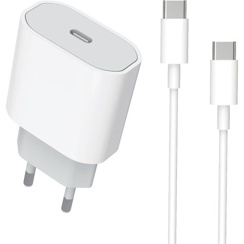 Chargeur Rapide USB C 20W iPhone 16/16 Pro/16 Pro Max/15 Plus/15 Pro,Certifié MFi Chargeur et Câble USB C vers C 3.3ft pour iPad Pro/Air/Mini,USBC Prise Secteur Mural Type C Alimentation Adaptateur
