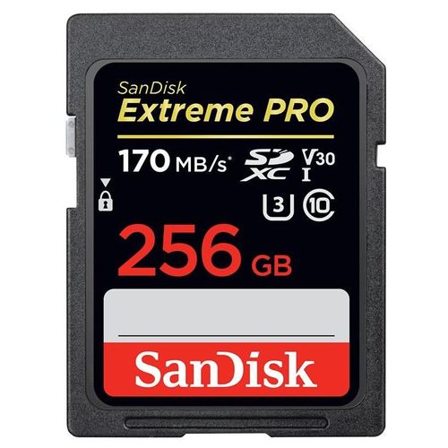 SanDisk Extreme Pro - Carte mémoire flash - 256 Go - Video Class V30 / UHS-I U3 / Class10 - SDXC UHS-I